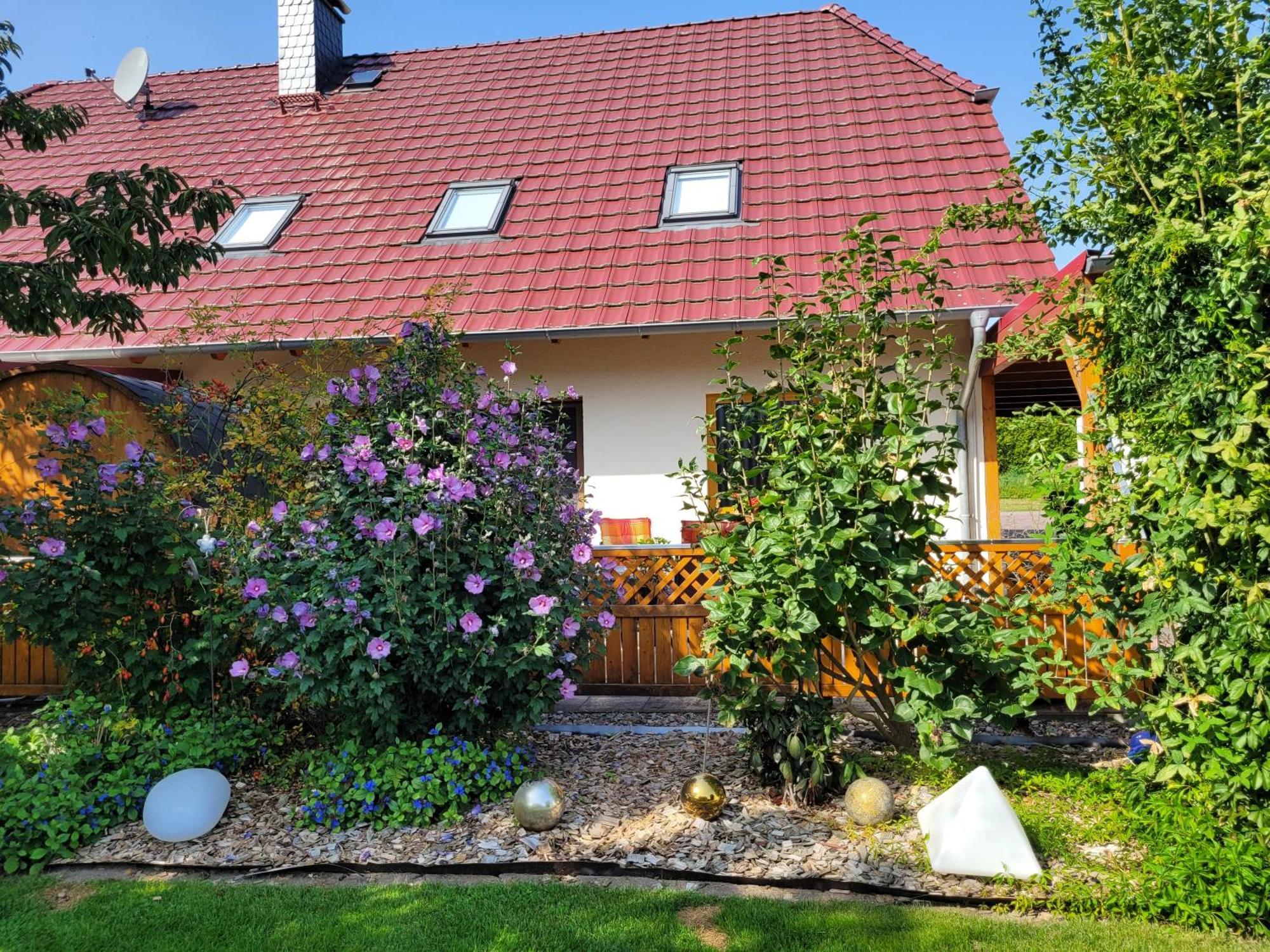 Apartment Halle *